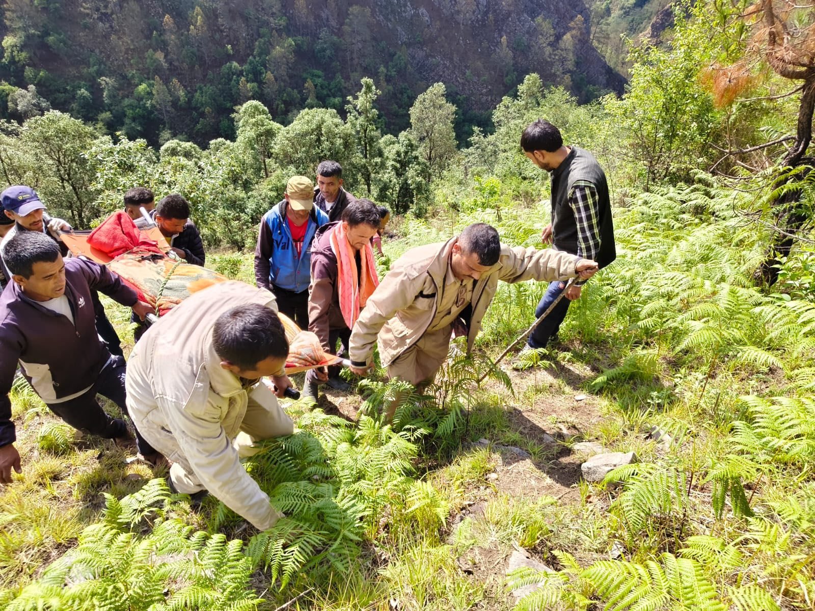 वाहन अनियंत्रित होकर गहरी खाई में गिरा