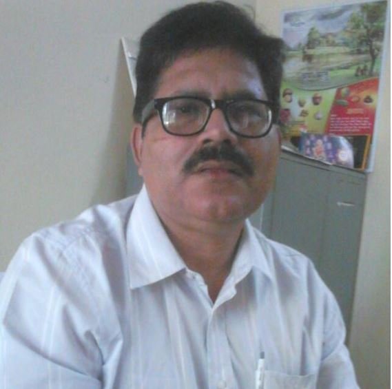 पौधरोपण 5 जून को नहीं मानसून आने के बाद करें।