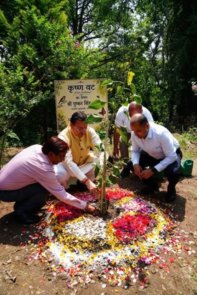 मुख्यमंत्री  पुष्कर सिंह धामी द्वारा विकसित किए जा रहे 3-बी गार्डन (बी-फ्रेंडली, बटरफ्लाई-फ्रेंडली एवं बर्ड-फ्रेंडली) के निर्माण कार्य का शुभारम्भ कृष्णा वट के पौधे का रोपण कर किया गया